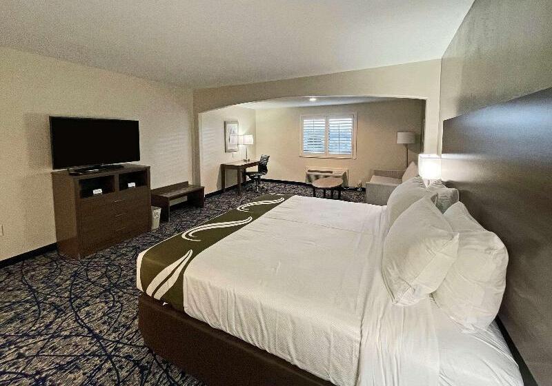 سوئیت با تخت بزرگ, Quality Suites Houston Hobby Airport