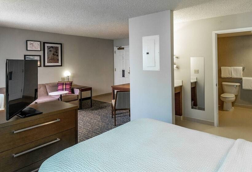 Suite, Residence Inn Anchorage Midtown