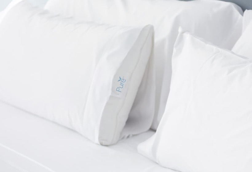 سوییت, Residence Inn By Marriott Charleston Airport