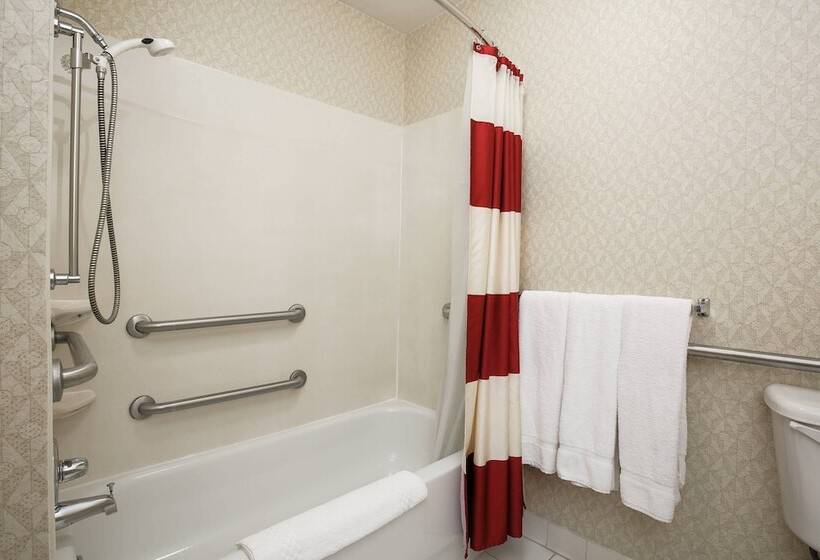 استودیوی استاندارد با تخت دوبل, Residence Inn By Marriott Flint Grand Blanc