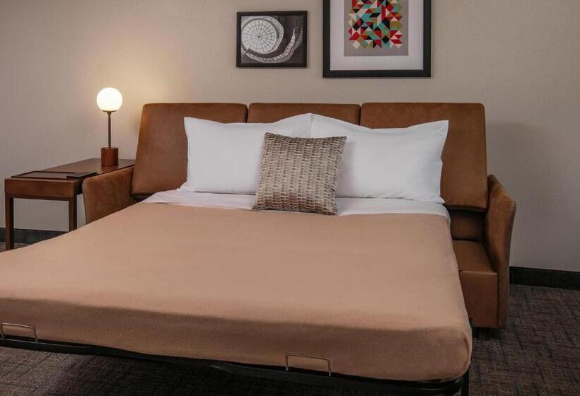 سوییت, Residence Inn By Marriott Norfolk Airport
