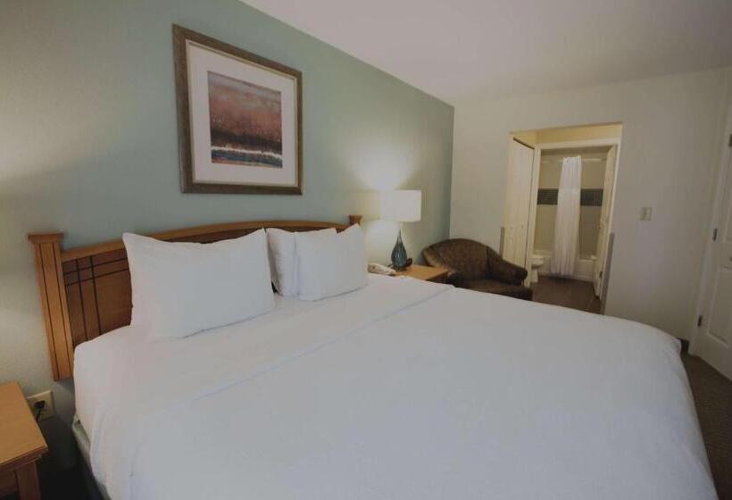 Suite Adaptada para personas con movilidad reducida, Sonesta Es Suites Austin The Domain Area