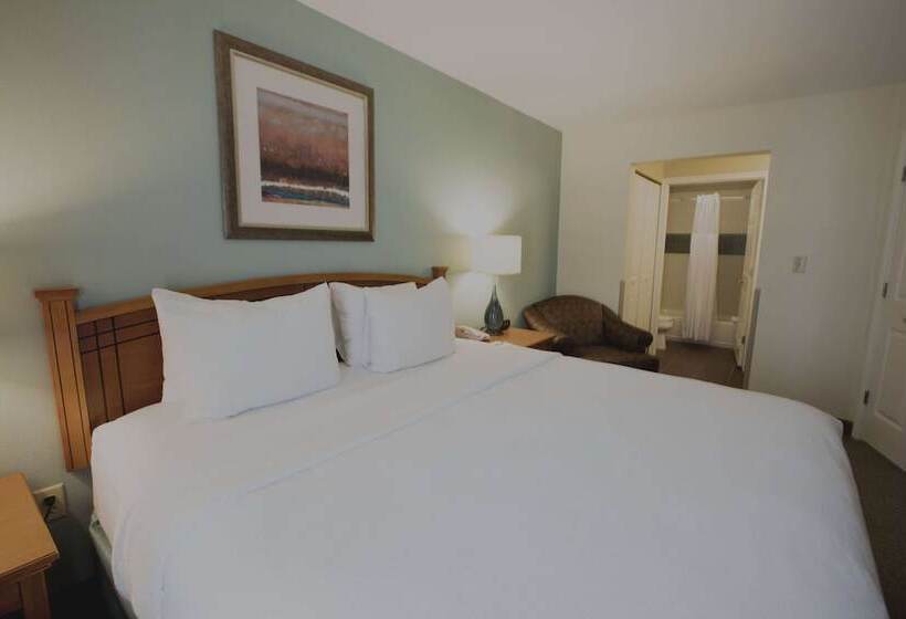 Suite Adapted for people with reduced mobility, Sonesta Es Suites Austin The Domain Area