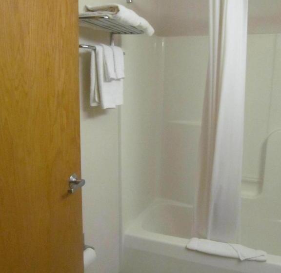 اتاق استاندارد, Microtel Inn By Wyndham Champaign