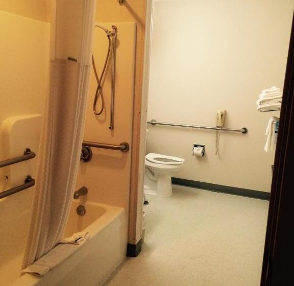 اتاق استاندارد برای معلولان, Microtel Inn By Wyndham Champaign