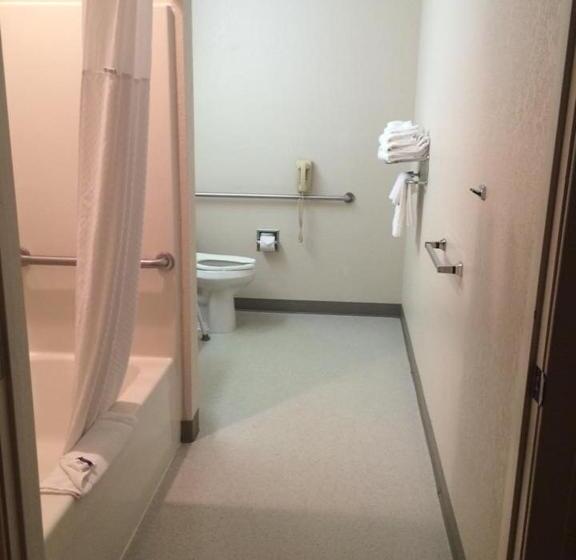 اتاق استاندارد برای معلولان, Microtel Inn By Wyndham Champaign