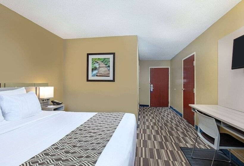 اتاق استاندارد با تخت دوبل برای معلولان, Microtel Inn & Suites By Wyndham Dry Ridge