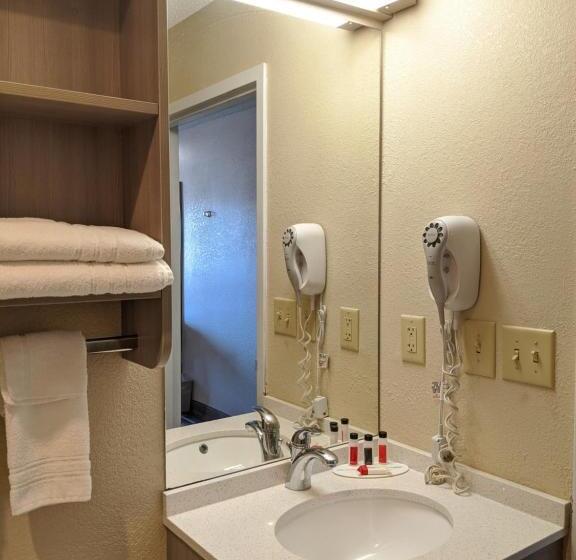 اتاق استاندارد برای معلولان, Microtel Inn Georgetown   Lexington North