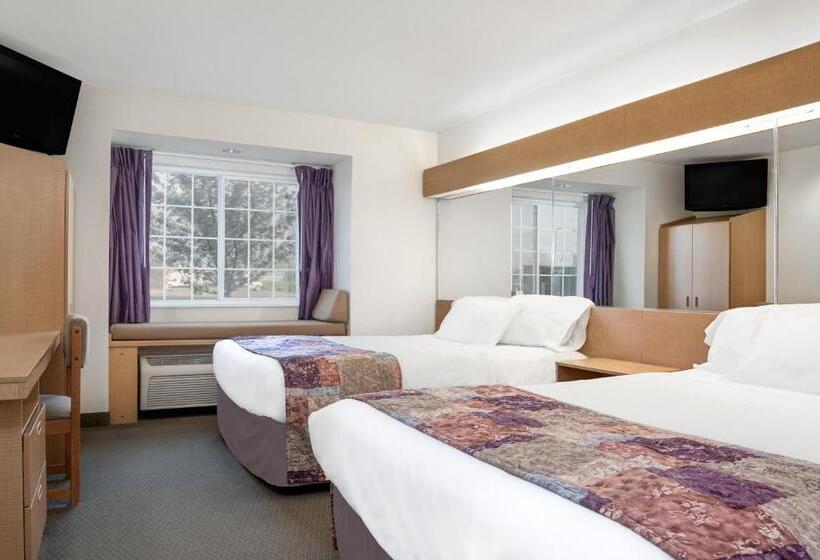 Standard Room Adapted for people with reduced mobility, Microtel Inn & Suites By Wyndham Mankato
