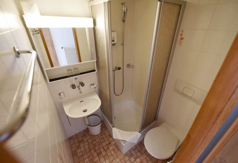 اتاق استاندارد یک تخته با بالکن, Waldhotel Unspunnen