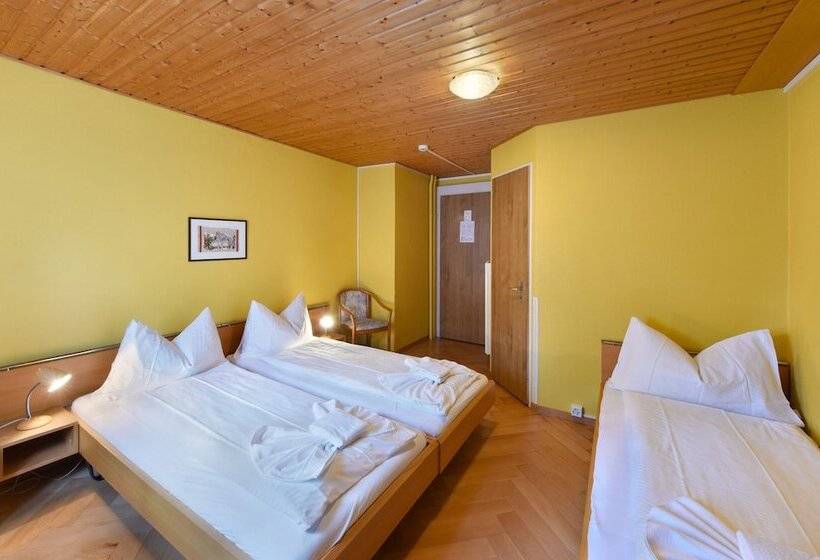 اتاق استاندارد سه نفره, Waldhotel Unspunnen