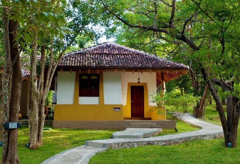 ویلای لوکس 1 خوابه, Amaya Lake Dambulla