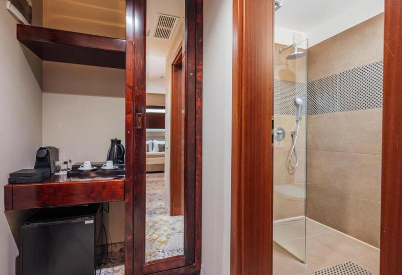اتاق استاندارد, L`art Hotel Carei