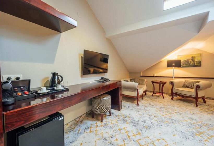 اتاق سوپریور, L`art Hotel Carei