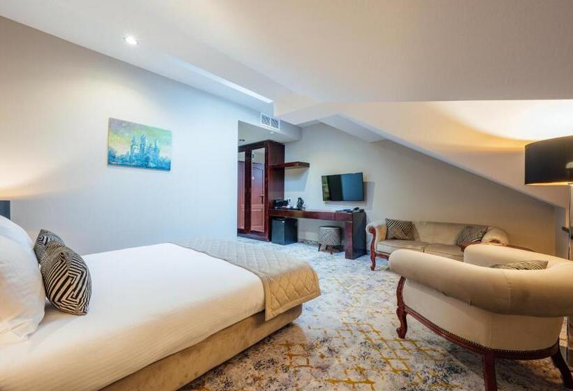اتاق سوپریور, L`art Hotel Carei