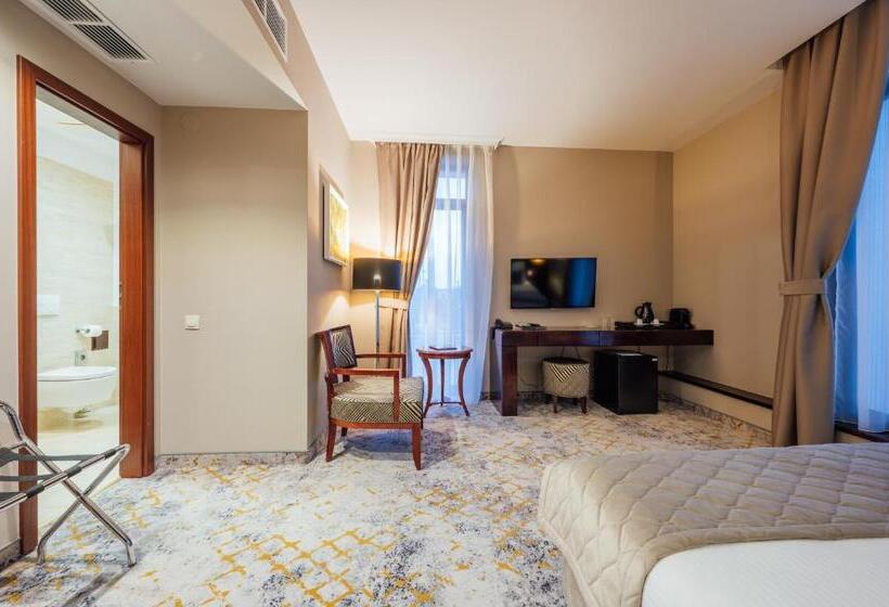 اتاق استاندارد, L`art Hotel Carei
