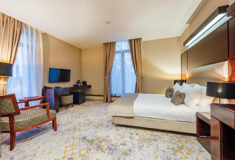 اتاق استاندارد, L`art Hotel Carei