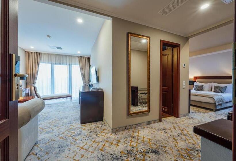 آپارتمان 1 خوابه, L`art Hotel Carei