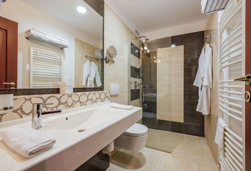اتاق استاندارد یک نفره, L`art Hotel Carei