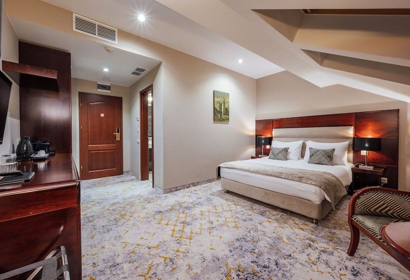اتاق سوپریور, L`art Hotel Carei