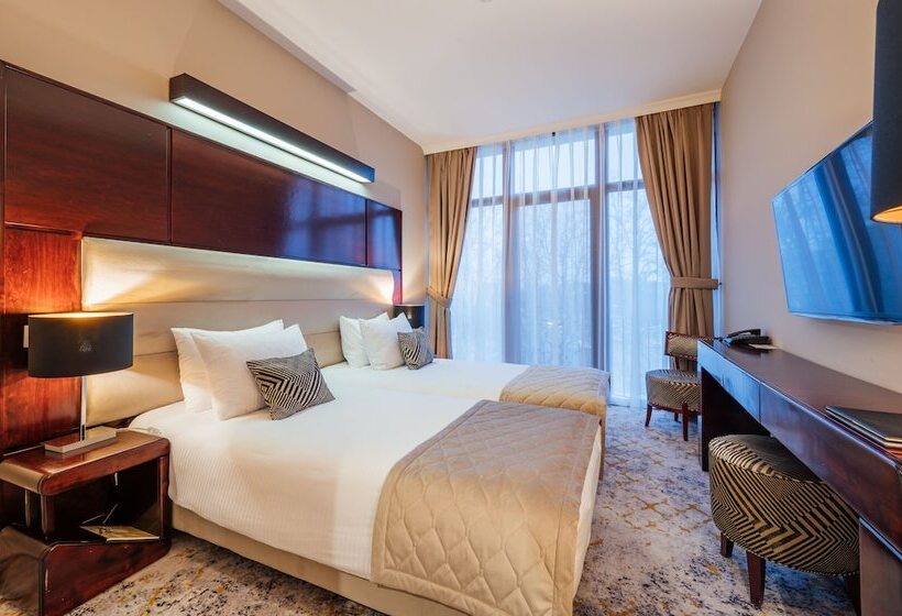 اتاق استاندارد, L`art Hotel Carei