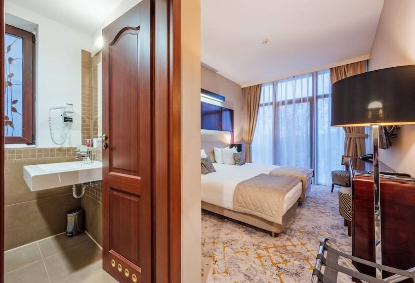 اتاق استاندارد, L`art Hotel Carei
