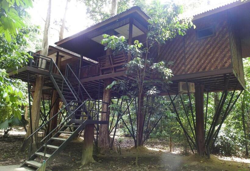 کابین, Khao Sok Nature Resort