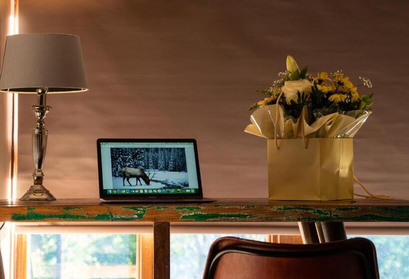اتاق استاندارد, The Lion Pub & Grill