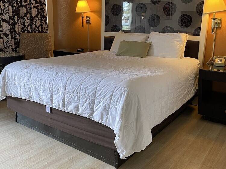 اتاق استاندارد, Budget Inn At The Heavenly Gondola