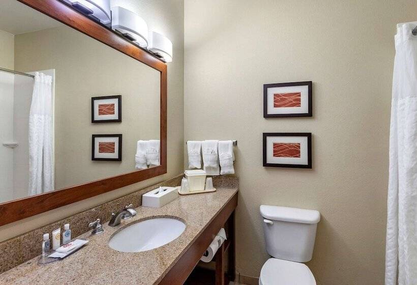 اتاق استاندارد با 2 تخت دوبل, Comfort Inn Evansvillecasper