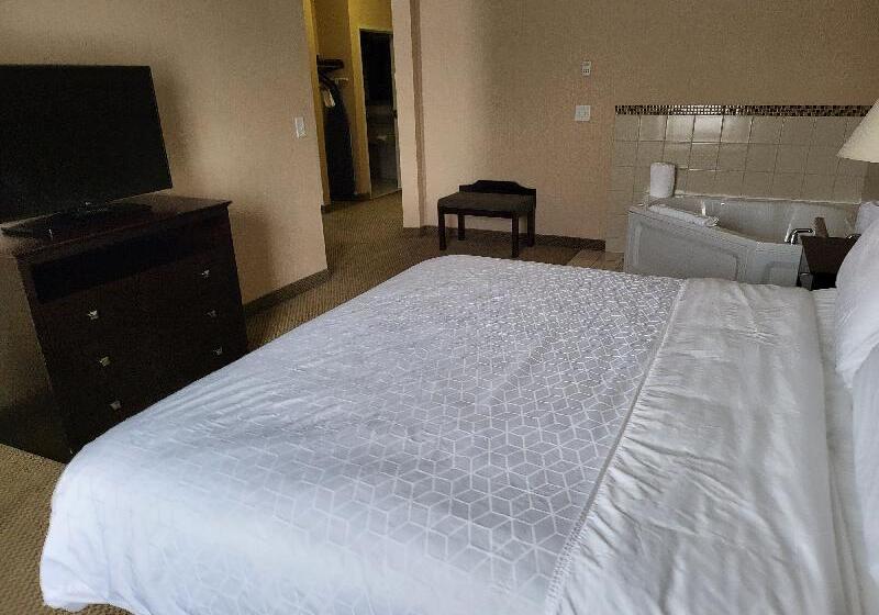 سوئیت با تخت بزرگ, Holiday Inn Express Hotel & Suites Tipp City, An Ihg