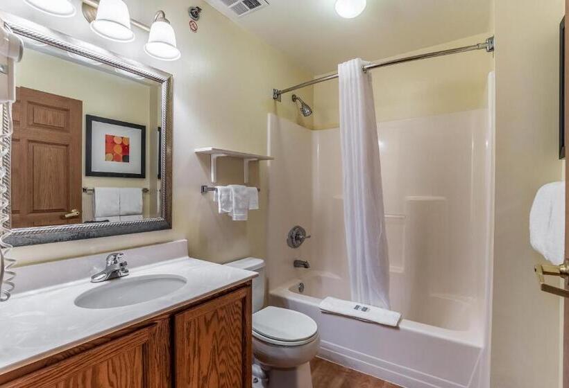 سوییت, Mainstay Suites Columbia Harbison