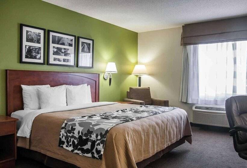 Suite Adaptée aux Personnes à Mobilité Réduite, Sleep Inn And Suites