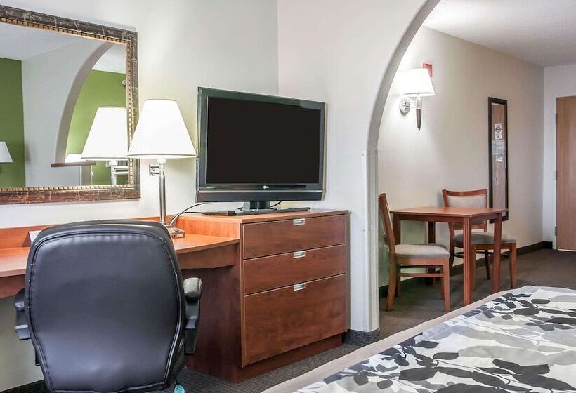 スイート, Sleep Inn & Suites Conference Center And Water Park