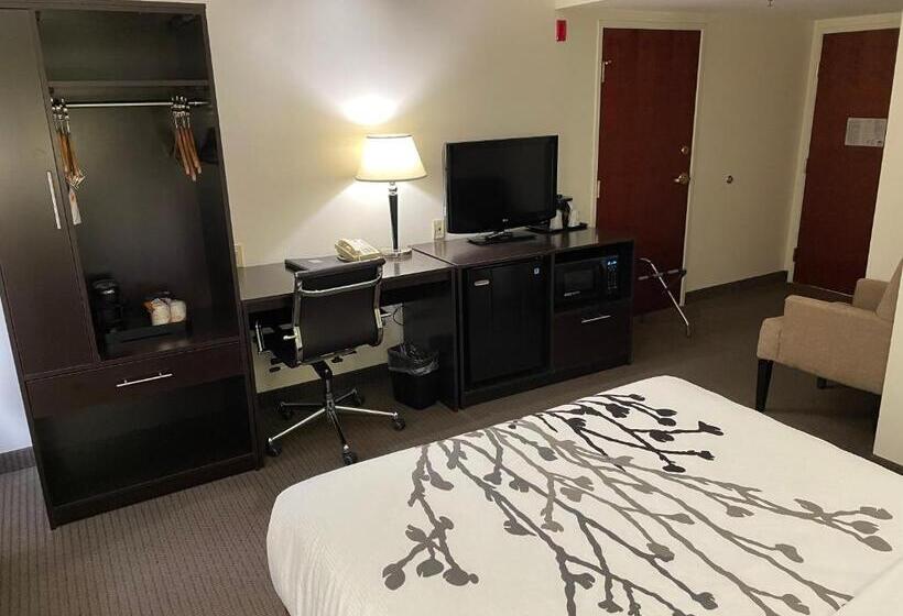 اتاق استاندارد برای معلولان, Sleep Inn Raleigh Durham Airport