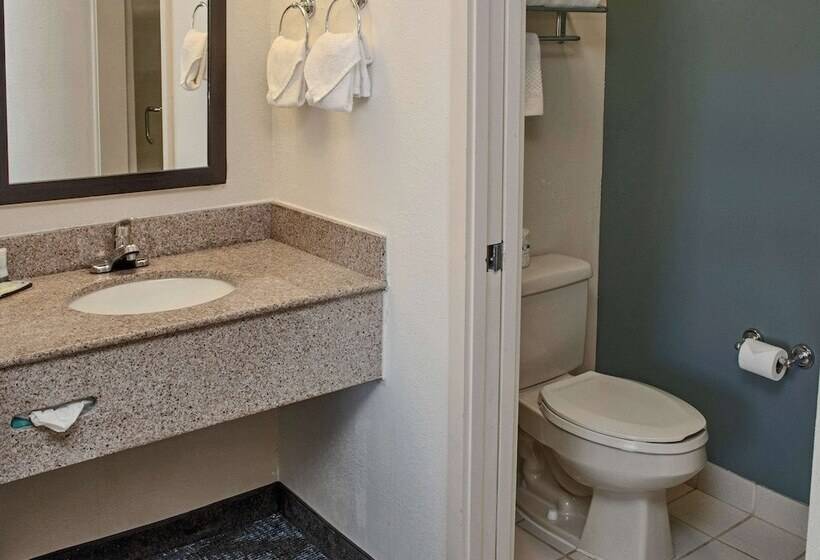 اتاق استاندارد با 2 تخت دوبل, Sleep Inn Lake Wright  Norfolk Airport