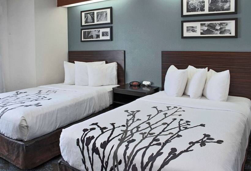 اتاق استاندارد با 2 تخت دوبل, Sleep Inn Lake Wright  Norfolk Airport