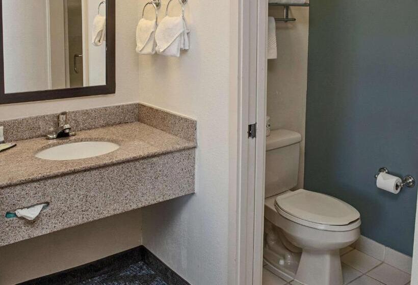 اتاق استاندارد با 2 تخت دوبل, Sleep Inn Lake Wright  Norfolk Airport