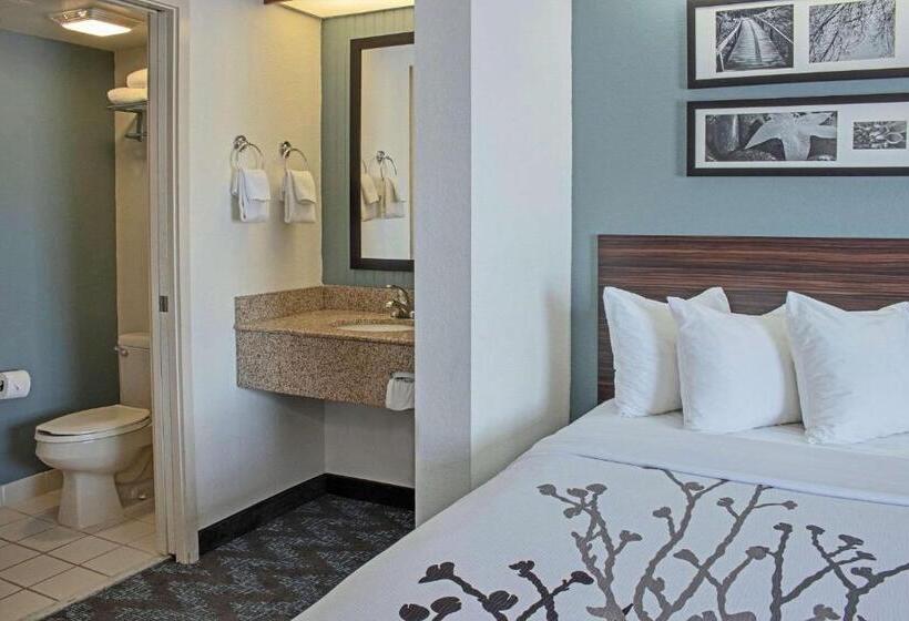 اتاق استاندارد با 2 تخت دوبل, Sleep Inn Lake Wright  Norfolk Airport