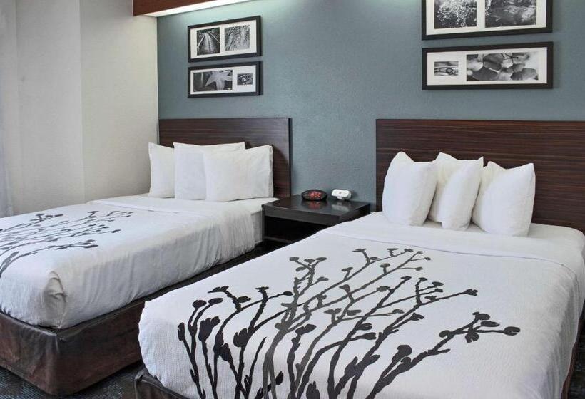 اتاق استاندارد با 2 تخت دوبل, Sleep Inn Lake Wright  Norfolk Airport