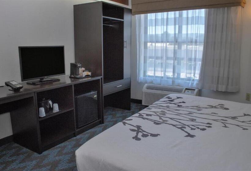 اتاق استاندارد با تخت بزرگ, Sleep Inn Lake Wright  Norfolk Airport