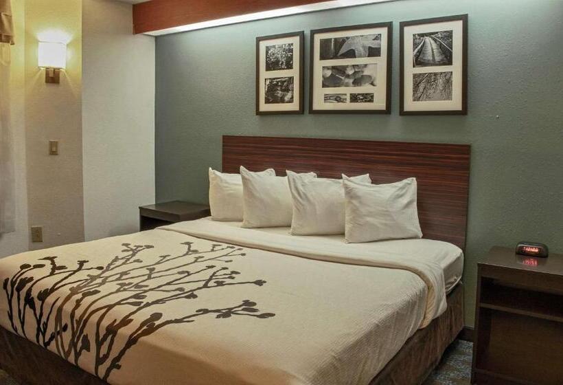 اتاق استاندارد با تخت بزرگ, Sleep Inn Lake Wright  Norfolk Airport