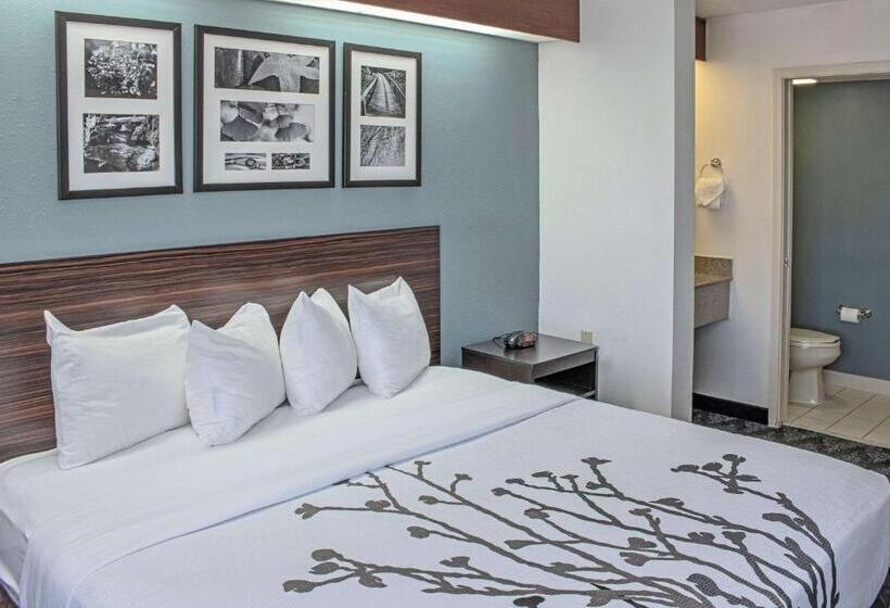 اتاق استاندارد با تخت بزرگ, Sleep Inn Lake Wright  Norfolk Airport
