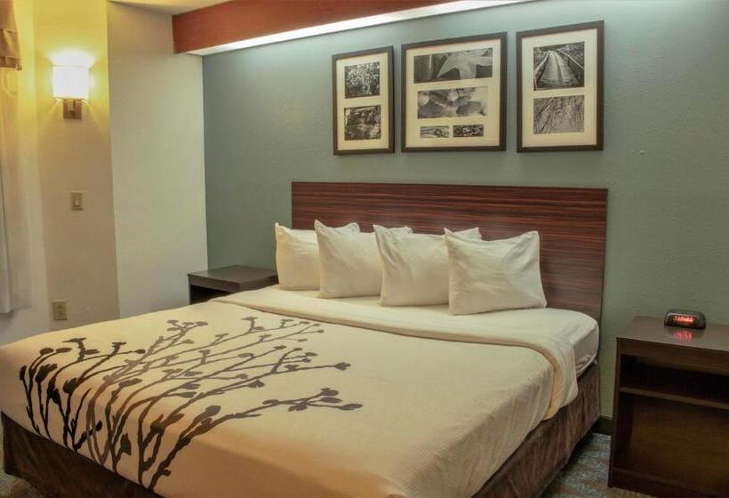 اتاق استاندارد با تخت بزرگ برای معلولان, Sleep Inn Lake Wright  Norfolk Airport