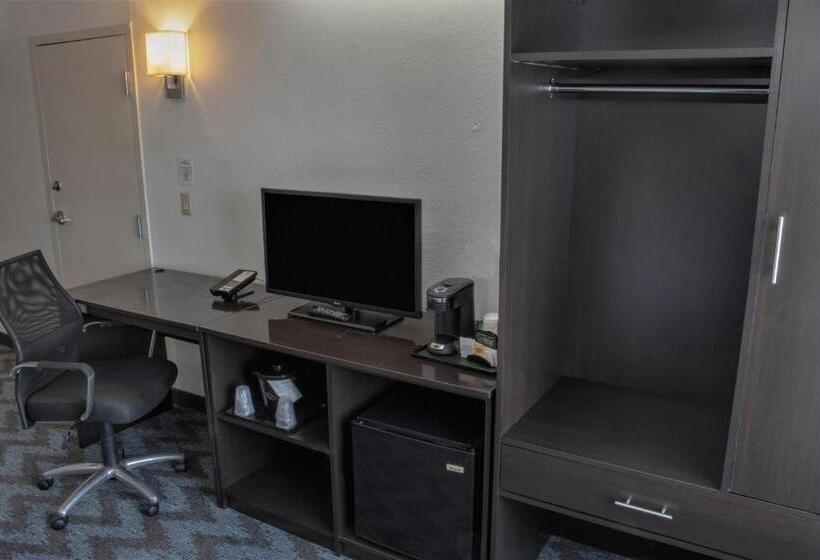 اتاق استاندارد با تخت بزرگ برای معلولان, Sleep Inn Lake Wright  Norfolk Airport