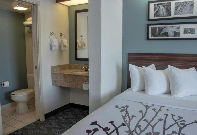 اتاق استاندارد با تخت بزرگ برای معلولان, Sleep Inn Lake Wright  Norfolk Airport
