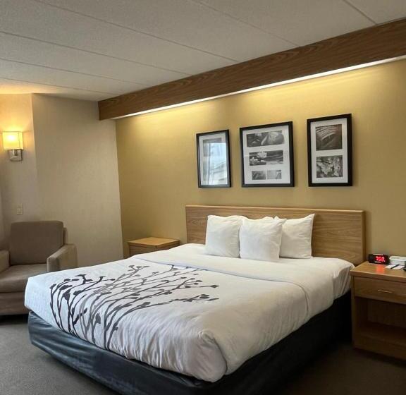 اتاق استاندارد با تخت بزرگ, Sleep Inn Lynchburg   University Area & Hwy 460