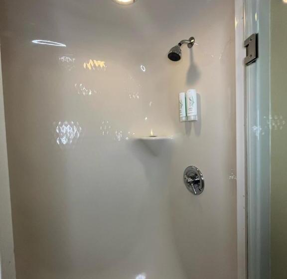 اتاق استاندارد با تخت بزرگ, Sleep Inn Lynchburg   University Area & Hwy 460