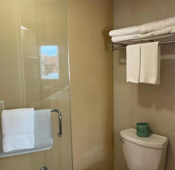 اتاق استاندارد با تخت بزرگ, Sleep Inn Lynchburg   University Area & Hwy 460