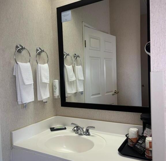 اتاق استاندارد, Sleep Inn Lynchburg   University Area & Hwy 460